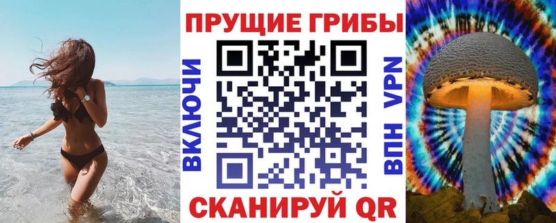 ссылка на мегу зеркало  хочу наркоту  Жуков  Псилоцибиновые грибы MAGIC MUSHROOMS 
